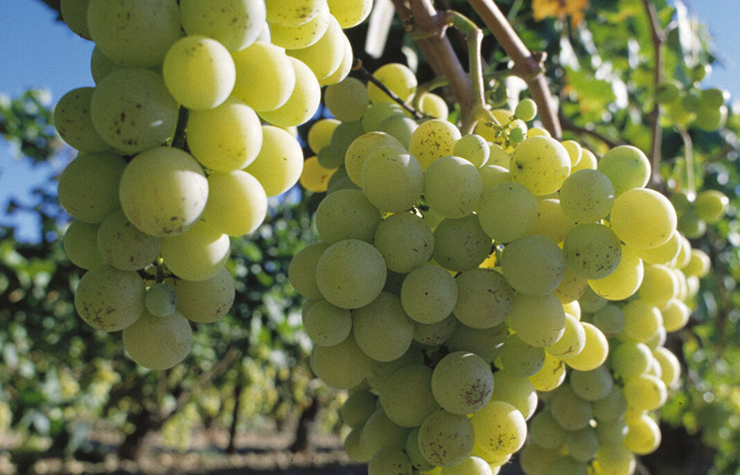 France Passion bietet interessante und preiswerte Übernachtungsmöglichkeiten