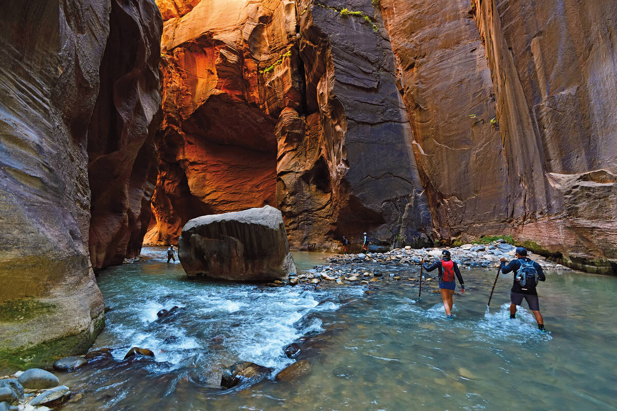 Die Wanderung durch die «Narrows» des Virgin River im Zion N.P. führt immer im Fluss in den schmalen Canyon.