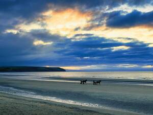 Nous regardons des jockeys de trot sur la plage de Dunmore.