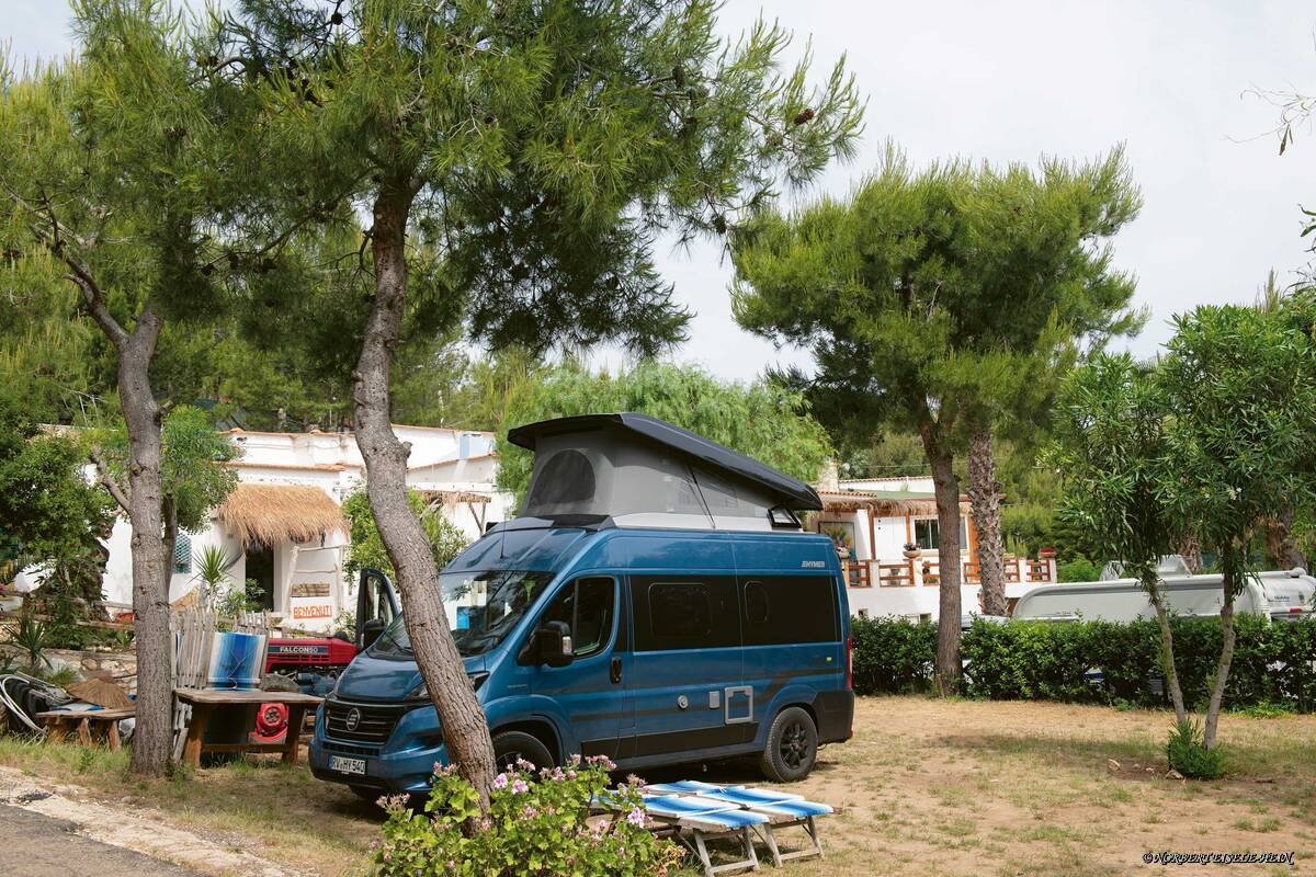 Les pins donnent de l'ombre au camping Baia da Nicola, merveilleusement situé près de la plage.