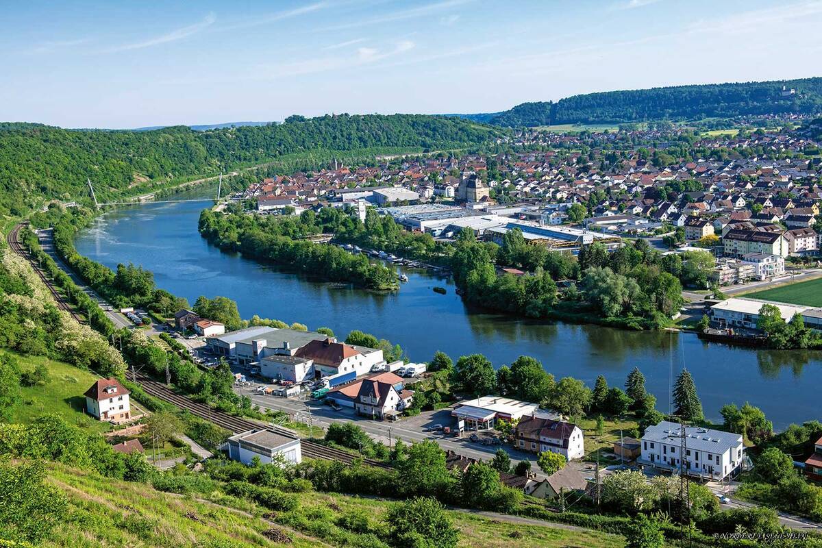 Blick von der Burg Hornberg über Weinberge auf den Neckar.