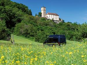 Auffahrt zur Burg Guttenberg, welche die Deutsche Greifenwarte und ein sehenswertes Museum beherbergt.