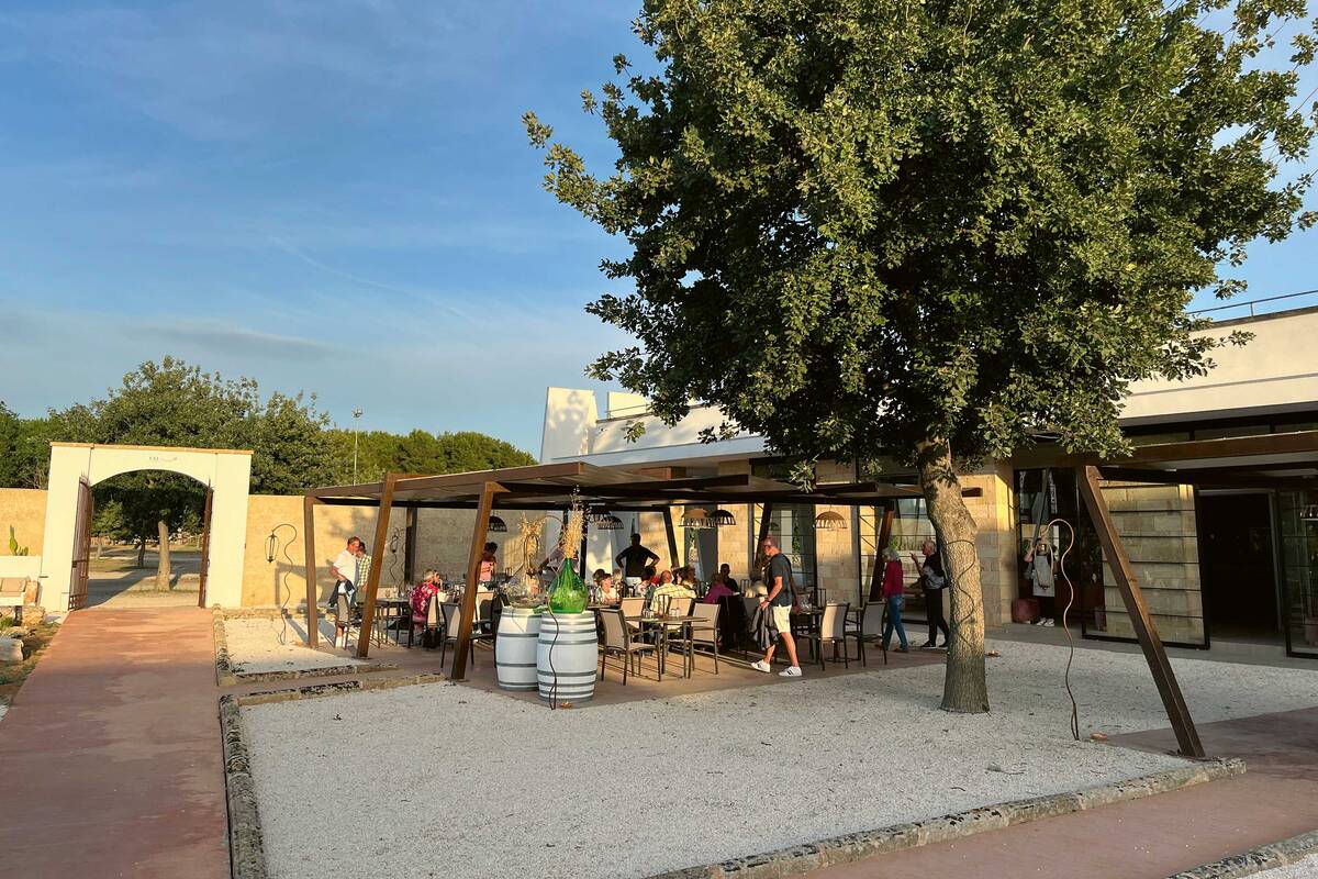 Nous avons un aperçu, au domaine viticole Cantina Coppola, de la production du vin que nous pouvons tout de suite déguster avec des délices culinaires.