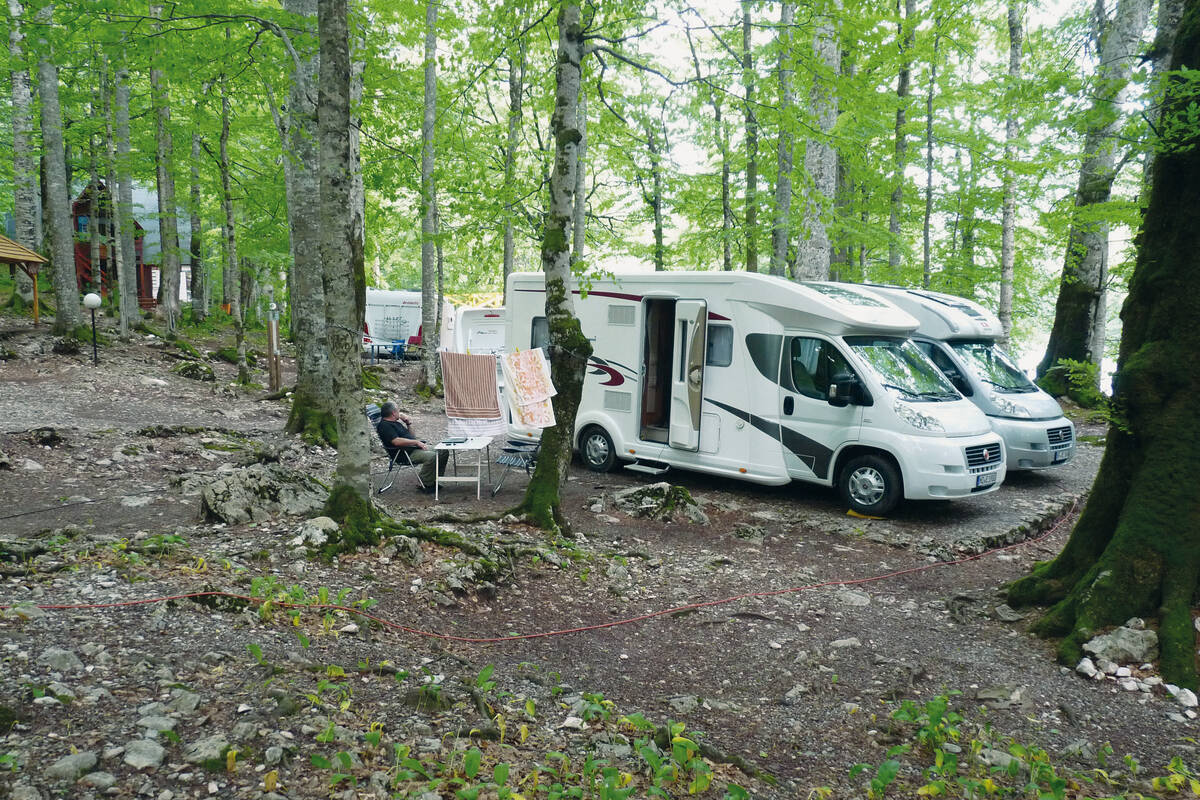 Un bel emplacement pour la nuit sous des hêtres et des chênes extrêmement vieux dans un vaste coin de forêt du parc national de Biogradska Gora.